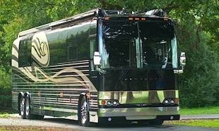 Photo of Nite Trtain